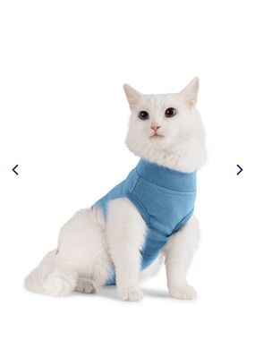 Well & Good Cat recovery Shirt - Light Blue